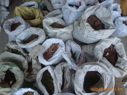 胡艺刚农作物种子与种苗产品全览 精选良种，助力丰收