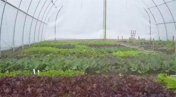 匠心独运 每周仅营业两天的农庄，为何能靠一粒种子让人流连忘返？