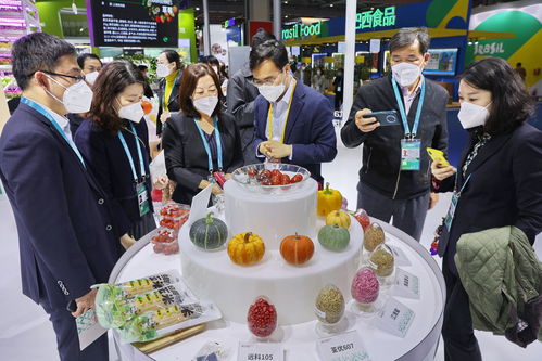 进博直击 人工智能专区引领未来，农作物种业专区聚焦粮食安全