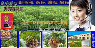 安吉诚宇家具厂 跨行业布局，拓展农作物种子与种苗经营业务