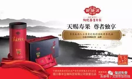 农业掘金十大运营模式 农作物种子经营篇