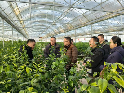 省种子站领导赴南充调研种业企业 助力农作物种子经营高质量发展