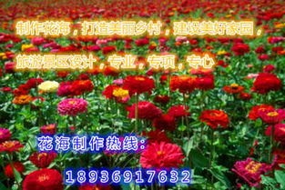 梅州草花种子种苗价格优势与农作物种子经营策略分析