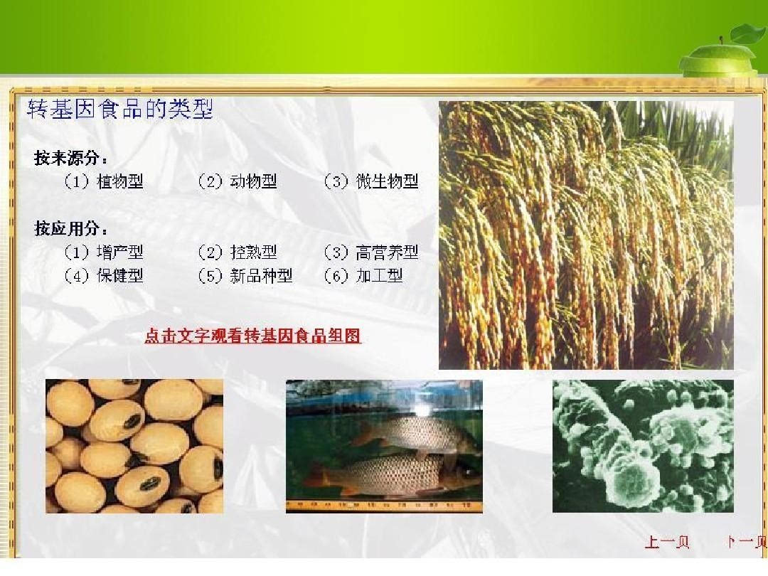 严防转基因种子冒充非转基因 农业监管新规落地
